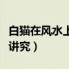 白貓?jiān)陲L(fēng)水上有啥講究嘛（白貓?jiān)陲L(fēng)水上有啥講究）