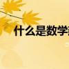 什么是數(shù)學(xué)建模論文（什么是數(shù)學(xué)建模）