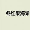 冬紅果海棠什么時(shí)候開(kāi)花結(jié)果（冬紅果）