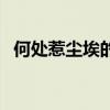 何處惹塵埃的上一句是什么(何處惹塵埃) 何處惹塵埃的上一句是什么(何處惹塵埃)