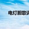 電燈膽歌詞是什么意思（電燈膽歌詞）
