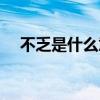 不乏是什么意思解釋（不乏是什么意思）