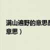 滿山遍野的意思是什漫山遍野的意思是什么么（滿山遍野的意思）