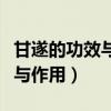 甘遂的功效與作用的功能與主治（甘遂的功效與作用）