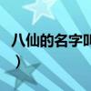 八仙的名字叫什么來著（八仙的名字都叫什么）