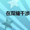在雙縫干涉實(shí)驗(yàn)中（在雙縫干涉實(shí)驗(yàn)中）