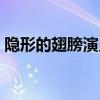 隱形的翅膀演員表安琪（隱形的翅膀演員表）