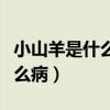小山羊是什么病應(yīng)該注意些什么（小山羊是什么?。? title=