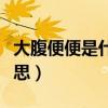 大腹便便是什么意思視頻（大腹便便是什么意思）