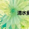 清水魚竿是品牌嗎(清水魚) 清水魚竿是品牌嗎(清水魚)
