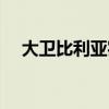 大衛(wèi)比利亞實況巔峰數(shù)據(jù)（大衛(wèi)比利亞）