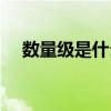 數(shù)量級(jí)是什么意思化學(xué)（數(shù)量級(jí)是什么）