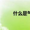 什么是氣質(zhì)型美女（什么是氣質(zhì)）