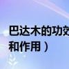 巴達(dá)木的功效和作用是什么呢（巴達(dá)木的功效和作用）