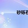 砂礫石的意思（砂礫的意思）