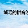 絨毛的拼音怎么寫的拼音怎（絨毛的拼音）