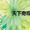 天下奇觀是什么意思?（天下奇觀）