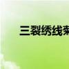 三裂繡線(xiàn)菊的藥用價(jià)值（三裂繡線(xiàn)菊）