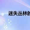 迷失叢林的得分怎么計(jì)算（迷失叢林）