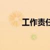 工作責任心怎么寫（工作責任心）