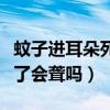 蚊子進(jìn)耳朵死在里面了有事嗎（蚊子進(jìn)耳朵死了會(huì)聾嗎）