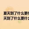夏天到了什么更什么了更該怎么寫寫的短一點該怎么寫（夏天到了什么更什么了）