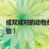 成雙成對的動物是什么生肖十二生肖（成雙成對的生肖有哪些）