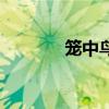 籠中鳥全文閱讀(籠中欲鳥) 籠中鳥全文閱讀(籠中欲鳥)