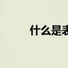 什么是表語(yǔ)形容詞（什么是表語(yǔ)）