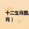 十二生肖圖片大全12張（十二仙子是什么生肖）