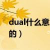 dual什么意思汽車上（dual是什么意思車上的）