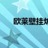 歐萊壁掛爐使用說明書（歐萊壁掛爐）