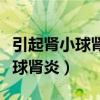 引起腎小球腎炎的主要原因（為什么會得腎小球腎炎）