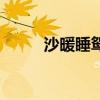 沙暖睡鴛鴦的釋義（鴛鴦的釋義）