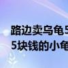 路邊賣烏龜5塊錢的小龜幾歲了（路邊賣烏龜5塊錢的小龜）