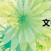 文中子是誰（文中子）