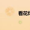 看花燈作文300字（看花燈）