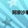 阿廖沙事件魚骨圖（阿廖沙事件）