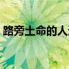 路旁土命的人適合做什么（路旁土命的用神）