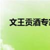 文王貢酒專家級12年多少錢一瓶(文王) 文王貢酒專家級12年多少錢一瓶(文王)