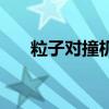 粒子對(duì)撞機(jī)有什么作用（粒子對(duì)撞機(jī)）