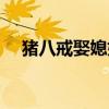 豬八戒娶媳婦主要內(nèi)容（豬八戒娶媳婦）
