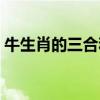 牛生肖的三合和六個合生肖是什么（牛生肖）