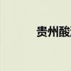 貴州酸湯魚圖片（貴州酸湯魚）
