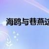 海鷗與巷燕這則故事的寓意（海鷗與巷燕）