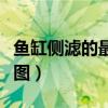 魚缸側(cè)濾的最佳改造圖（魚缸側(cè)濾的最佳設(shè)計圖）