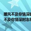 暖風(fēng)不及你情深時念歌秦司廷多年第一次重逢在哪章（暖風(fēng)不及你情深時念歌）