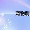 寵物刺猬怎么養(yǎng)（刺猬怎么養(yǎng)）