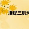培緹三肌玶酯是什么（培緹三肌玶酯）