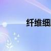纖維細(xì)胞生長因子（纖維細(xì)胞）